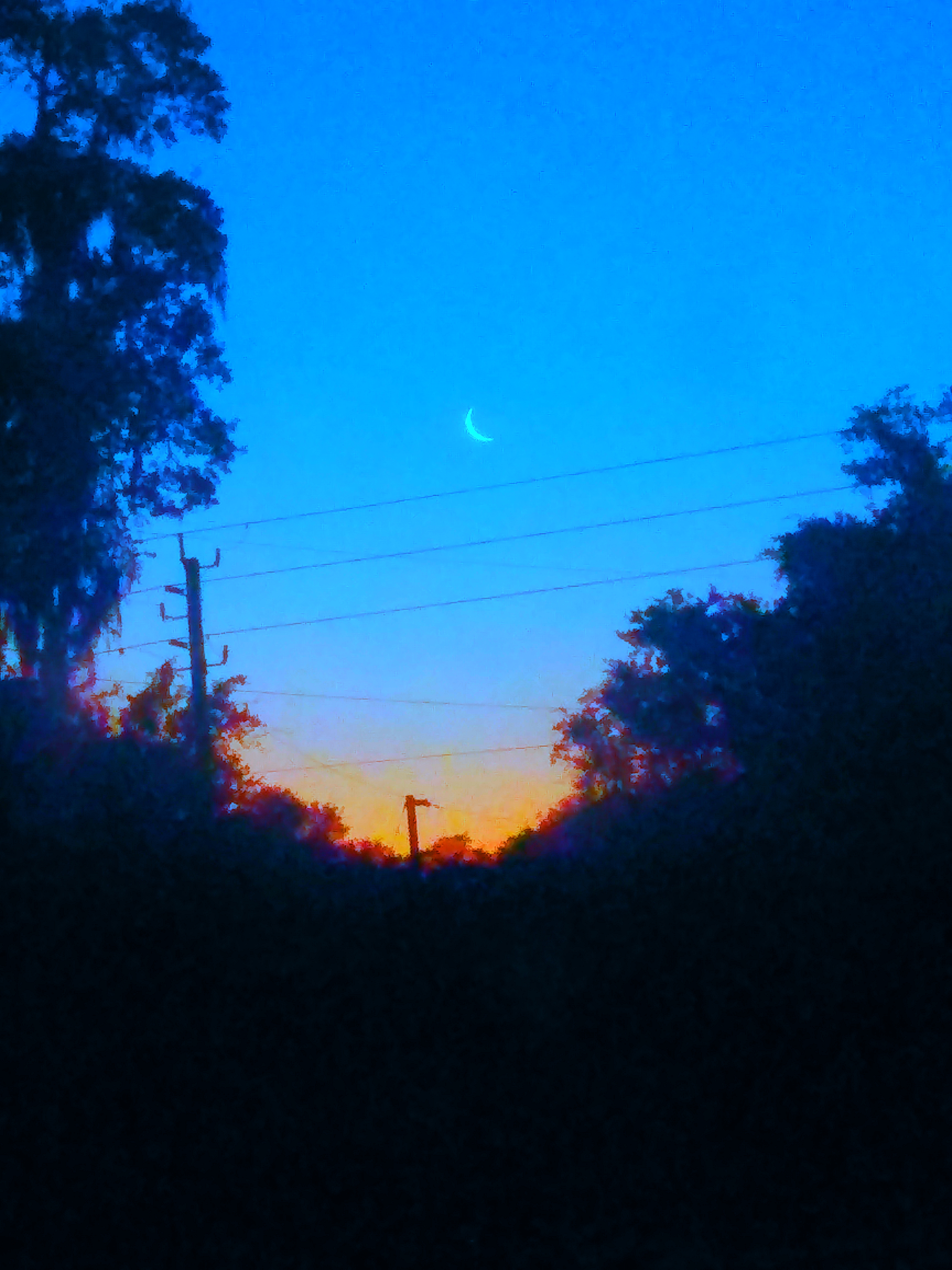 A moonrise